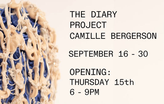 The Diary Project by Camille Bergerson